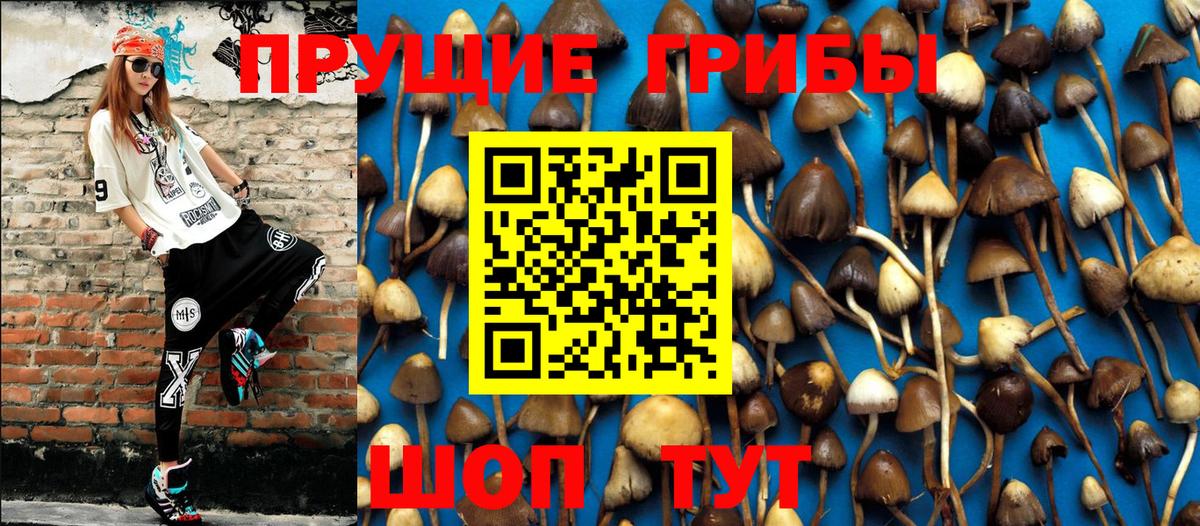 Галлюциногенные грибы мицелий Наро-Фоминск