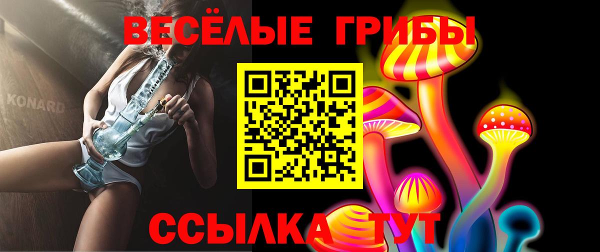 Галлюциногенные грибы ЛСД  Псилоцибиновые грибы GOLDEN TEACHER  сколько стоит  Наро-Фоминск  Вход с VPN 